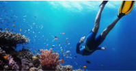 Snorkeling